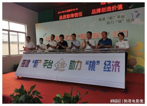 上海奉賢黃桃香飄香港，技術(shù)賦能開(kāi)啟高品質(zhì)農(nóng)產(chǎn)品出口新篇章